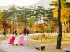 Du lịch Hàn Quốc và những điều bạn cần biết
