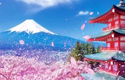 Du lịch Nhật Bản nên đi đâu?