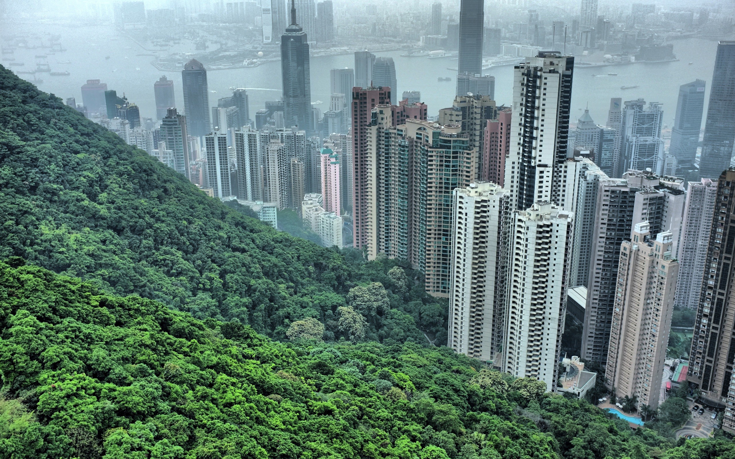 Núi Thái Bình - Du lịch Hongkong