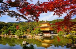 Kinh nghiệm du lịch Nhật Bản mùa thu từ A đến Z