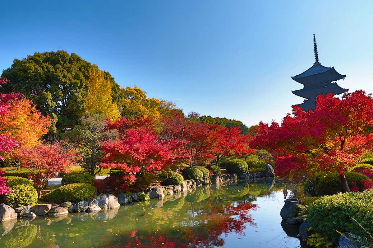 Du lịch Nhật Bản mùa thu là thời điểm lý tưởng